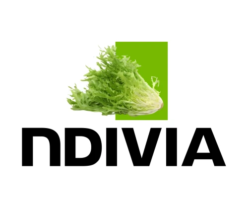 Ndivia